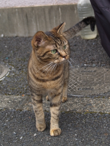 �`���g��������