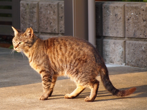 �ɂ�[����