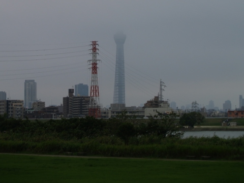 �X�J�C�c���[